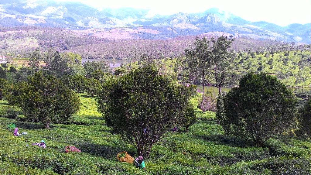 Ferndale Homestay Thekkady Exterior foto